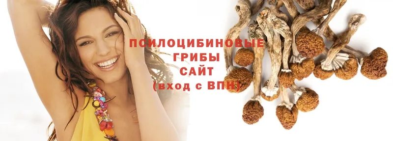 даркнет какой сайт  Миньяр  Псилоцибиновые грибы MAGIC MUSHROOMS  купить наркотики сайты  блэк спрут ТОР 